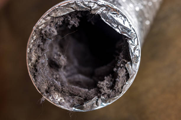 Best Ventilation Cleaning Services  in River Ridge, LA