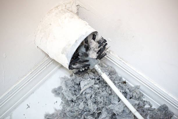 Best Affordable HVAC Duct Cleaning  in River Ridge, LA