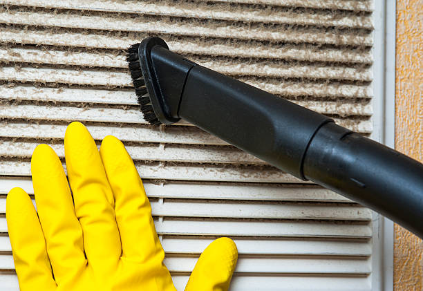 Best Air Duct Sanitizing Services  in River Ridge, LA